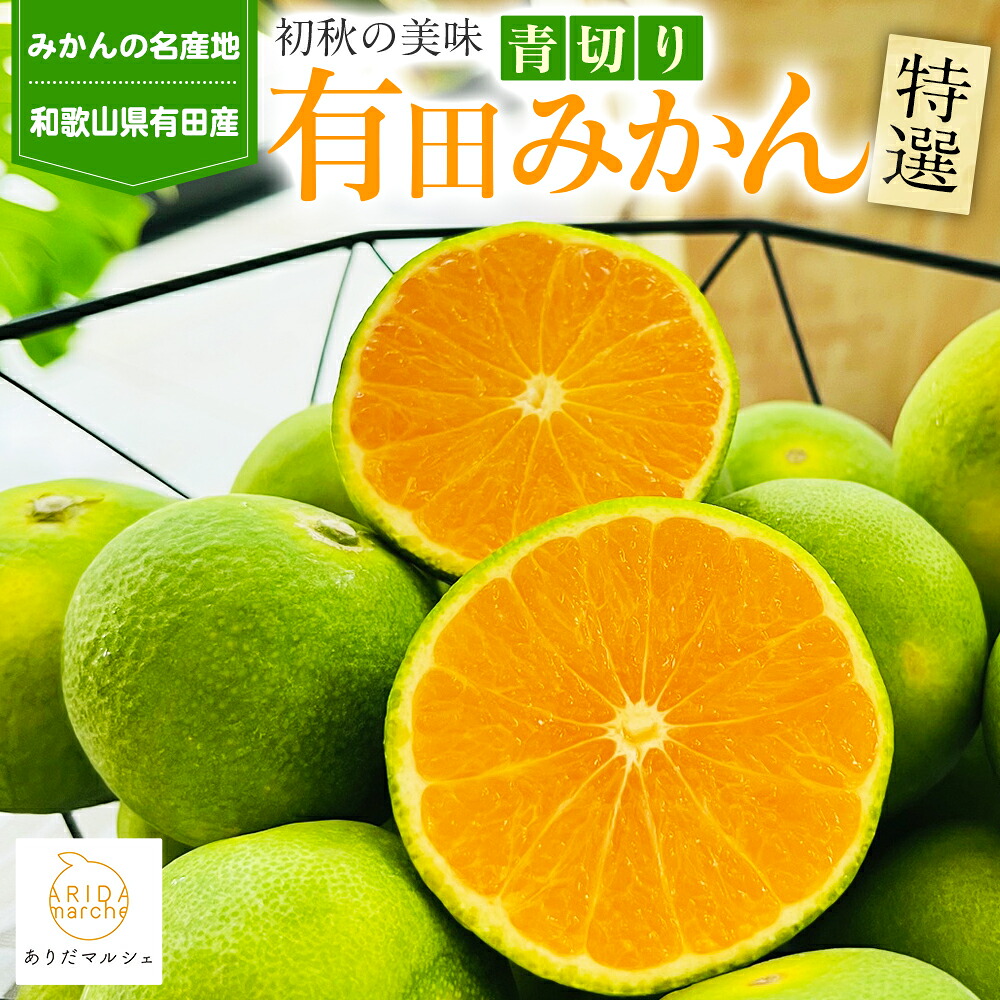 【ふるさと納税】【先行予約】 初秋の美味 農家直送 特選 ! 青切り 有田みかん ※北海道・沖縄・その他離島地域は発送不可 ※先行予約 2026年9月～10月に順次発送 / みかん 柑橘 蜜柑 くだもの 果物 果実 フルーツ 和歌山 有田 //mandarin