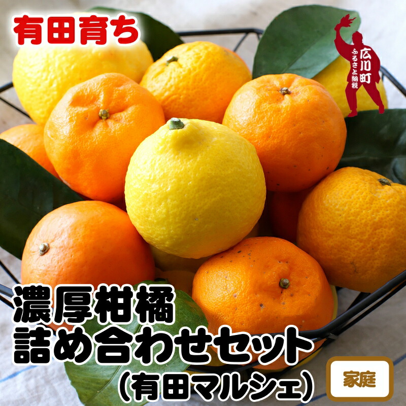 【ふるさと納税】【先行予約】 有田育ちの旬の 柑橘 詰め合わせ セット (ご家庭用)　※2026年1月中旬～2026年4月下旬に順次発送 ※北海道・沖縄・その他離島地域は発送不可 / みかん くだもの 晩柑 果実 蜜柑 柑橘 果物 フルーツ 国産 和歌山県 有田  //hassaku