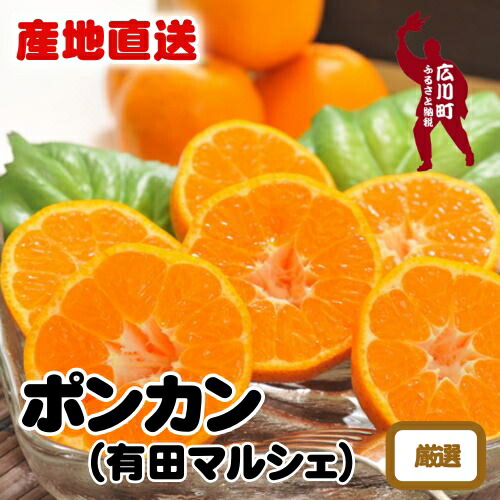 【ふるさと納税】【先行予約】 極甘柑橘 特選 濃厚 ポンカン ※2026年1月上旬～2026年2月下旬に順次発送 ※北海道・沖縄・その他離島地域は発送不可 / みかん 蜜柑 柑橘 果物 フルーツ くだもの 果実 国産 和歌山県 晩柑 //dekopon