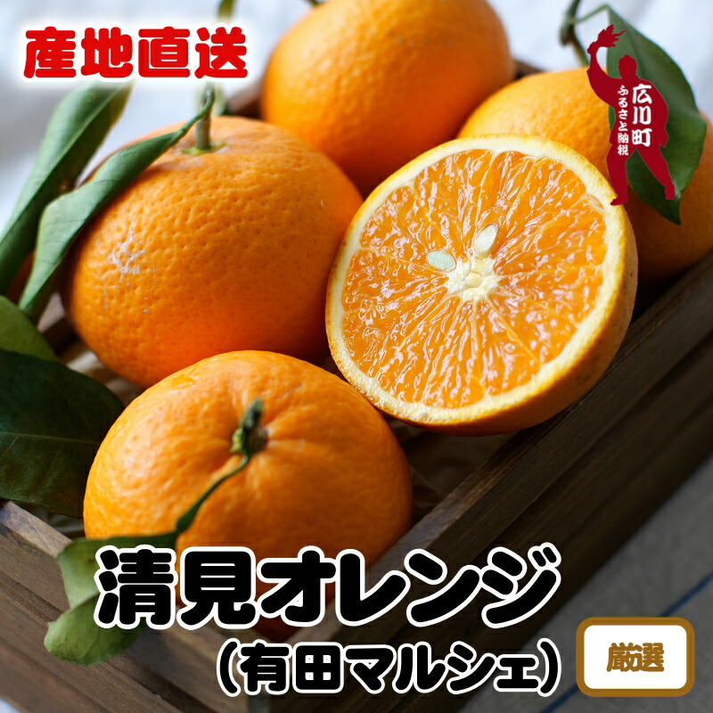 【ふるさと納税】【先行予約】 産地直送 特選 完熟 清見 オレンジ ※2026年2月下旬～2026年3月下旬に順次発送 ※北海道・沖縄・その他離島地域は発送不可 / みかん くだもの きよみ 清見 果実 蜜柑  柑橘 果物 フルーツ 国産 和歌山県 有田  //dekopon