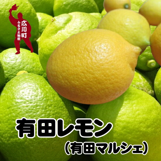 【ふるさと納税】【先行予約】 国産 紀州 和歌山 有田 レモン ※2025年9月下旬～2026年3月下旬に順次発送 ※北海道・沖縄・その他離島地域は発送不可 / 檸檬 くだもの 果実  柑橘 果物 フルーツ 国産 和歌山県 有田  //lemon