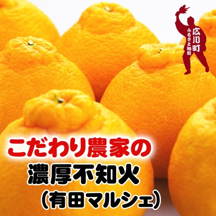 【ふるさと納税】【先行予約】こだわり農家の濃厚不知火  ※2026年2月上旬～2026年3月下旬に順次発送 ※北海道・沖縄・その他離島地域は発送不可 / みかん  蜜柑 果物 くだもの 果実 フルーツ 国産 和歌山県広川町 //dekopon