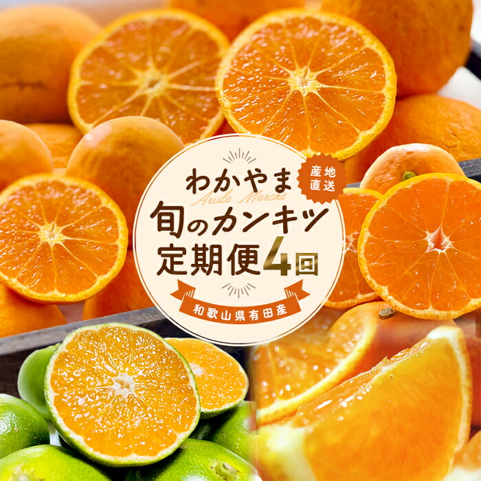 【ふるさと納税】 和歌山 旬のカンキツ定期便 (ご家庭用) ※北海道・沖縄・離島への配送不可 / 定期便 青切り有田みかん 完熟有田みかん 春の柑橘 初夏の柑橘 全4回 フルーツ  //teiki
