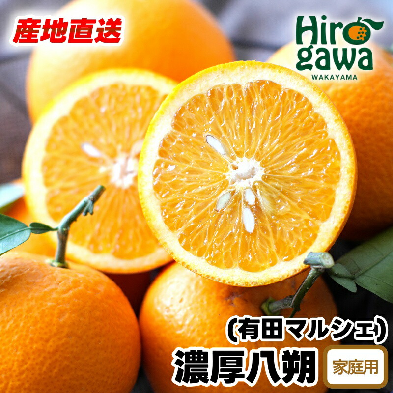 【ふるさと納税】【先行予約】 産地直送 濃厚 八朔 （ご家庭用）※2026年2月下旬～2026年3月下旬に順次発送 ※北海道・沖縄・その他離島地域は発送不可  / みかん 蜜柑 八朔 はっさく 柑橘 果物 くだもの 果実 フルーツ 国産 和歌山 //hassaku