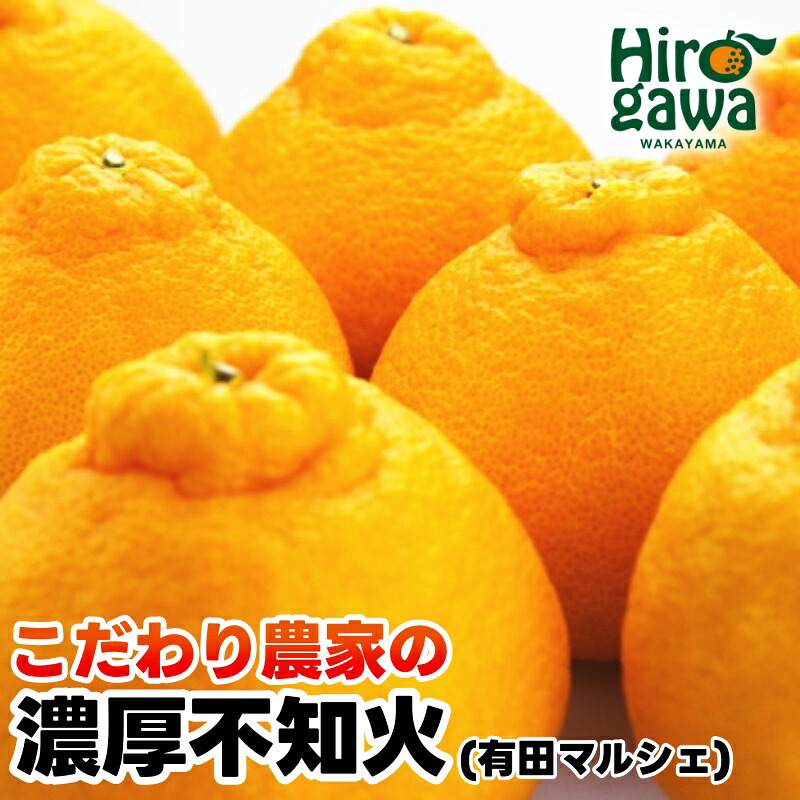 【ふるさと納税】【先行予約】こだわり農家の濃厚 不知火 ※2027年2月上旬～3月下旬に順次発送 ※北海道・沖縄・その他離島地域は発送不可 / みかん 蜜柑 果物 くだもの 果実 フルーツ //dekopon｜和歌山県広川町