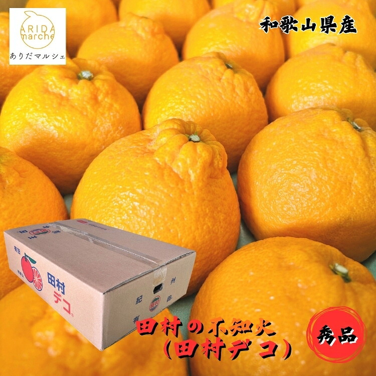 【ふるさと納税】 和歌山 有田 田村 の 不知火 (田村デコ) 秀品 12～24玉(約 5kg ) / しらぬい みかん 甘い 柑橘 果物 フルー ※2027年2月下旬～3月下旬頃に順次発送予定 ※北海道・沖縄・その他離島地域は発送不可 //dekopon｜和歌山県広川町