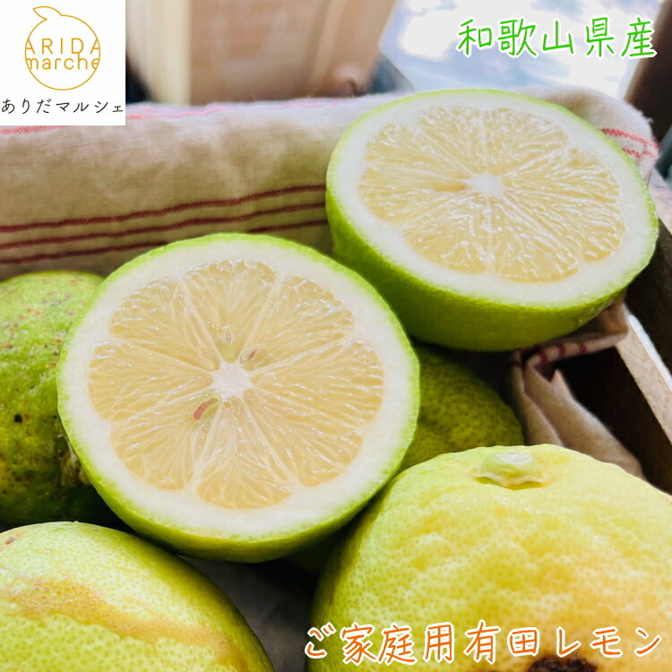 【ふるさと納税】【先行予約】 紀州 和歌山 ご家庭用 有田 レモン 【防腐剤・ワックス不使用】【農家直送】【訳あり】  ※2025年9月下旬～2026年3月下旬に順次発送 ※北海道・沖縄・その他離島地域は発送不可 / 檸檬 くだもの 果実 柑橘 果物 国産 和歌山 有田 //lemon