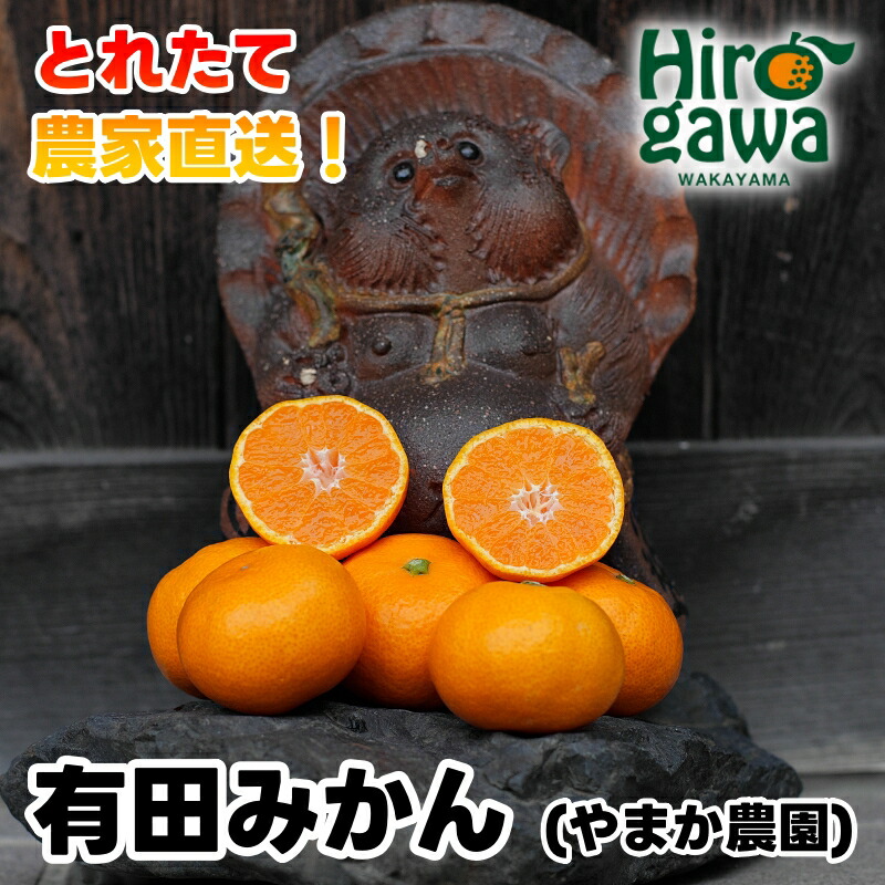 【ふるさと納税】 有田 みかん 小玉 M・L 大玉 / 温州みかん 有田みかん 甘い 小粒 和歌山 柑橘 2kg 5kg 10kg 6000円 10000円 ※12月上旬～1月上旬に順次発送 //mandarin
