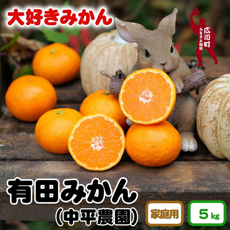 【ふるさと納税】 有田みかん 家庭用 5kg サイズ混合 大好きみかん ※11月中旬から12月下旬頃に順次発送予定 10000円 / 温州みかん みかん 柑橘 果物 くだもの フルーツ 濃厚 和歌山 有田 広川町  //mandarin