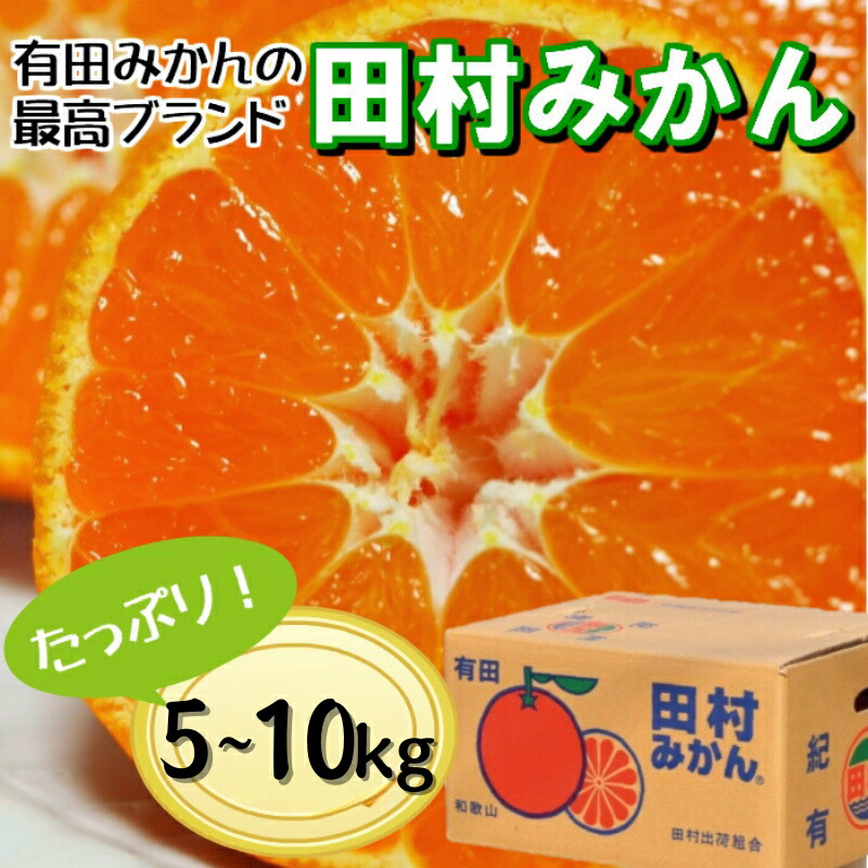 【ふるさと納税】 有田の高級みかん【田村みかん】秀品！たっぷり ギフトにもオススメ (S～Lサイズおまかせ) ※11月上旬～1月下旬頃発送予定 / みかん 温州 柑橘 蜜柑 くだもの 果物 果実 フルーツ 和歌山 有田