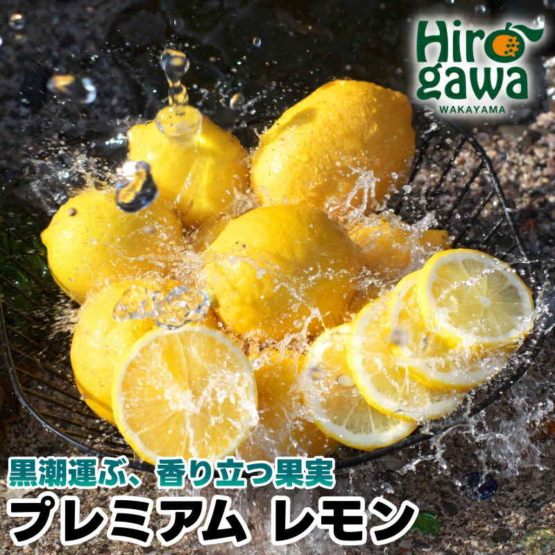 【ふるさと納税】 レモン 有田プレミアム 2kg 5kg ※2026年3月上旬～2026年4月下旬に順次発送 // 檸檬 国産レモン 国産檸檬 はちみつレモン 和歌山 有田 果汁 家庭用 訳あり わけあり 傷あり フードロス 柑橘 紀州 国産 防腐剤 ワックス不使用  //lemon