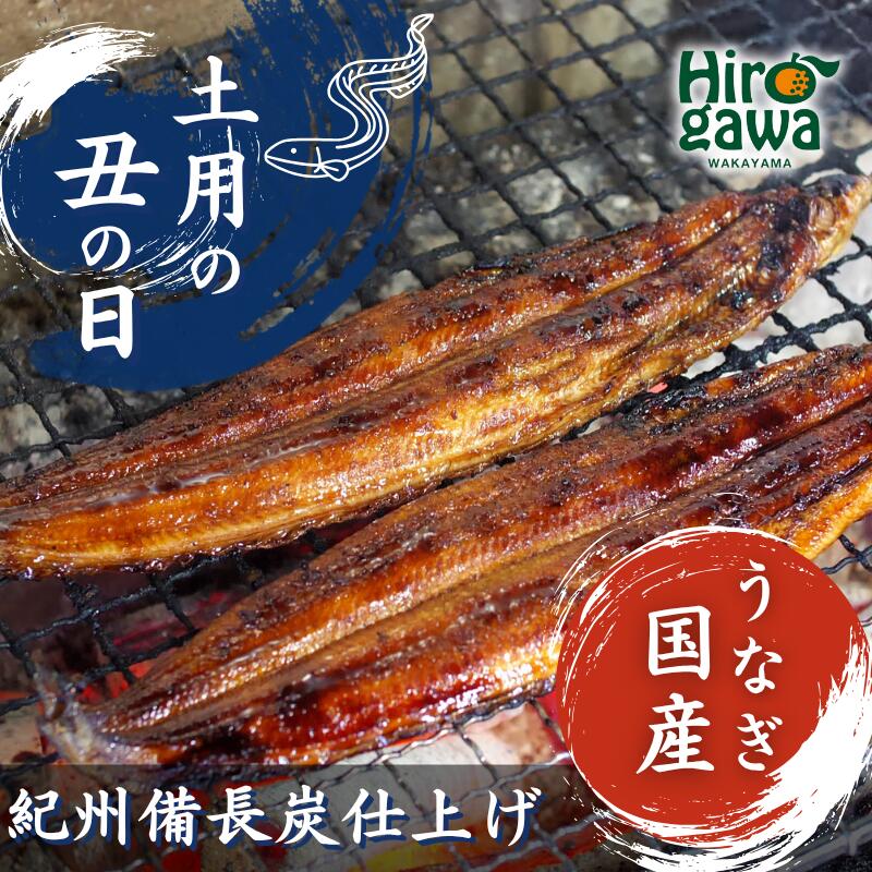 【ふるさと納税】 うなぎ 蒲焼き ( 国産 ) 紀州備長炭で焼き上げ無添加 / 鰻 国産 うなぎ蒲焼き うな丼 うな重 //fish 17,280円