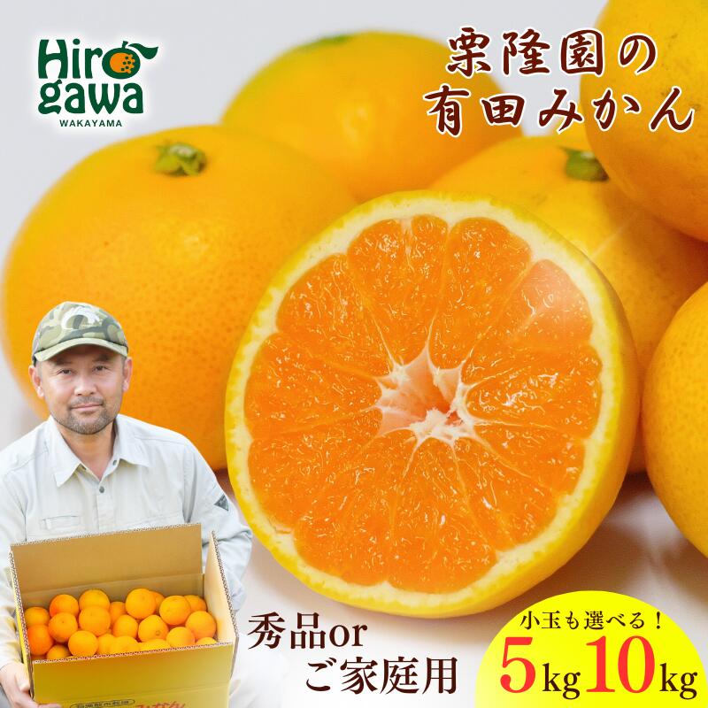 【ふるさと納税】 有田 みかん 小玉 サイズ混合 / 有田みかん 温州みかん 甘い 秀品 家庭用 和歌山 柑橘 5kg 10kg 10000円 ～ ※2026年10月上旬～2027年2月上旬に順次発送 //mandarin｜和歌山県広川町