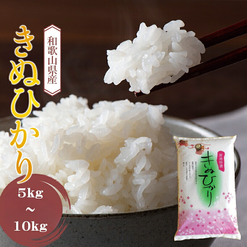 【ふるさと納税】 米 キヌヒカリ 新米 (2025年産) 和歌山県産 / 米 こめ 白米 精米 ご飯 ごはん 産地直送 ※2025年9月中旬頃より順次発送予定 //vegi｜和歌山県広川町