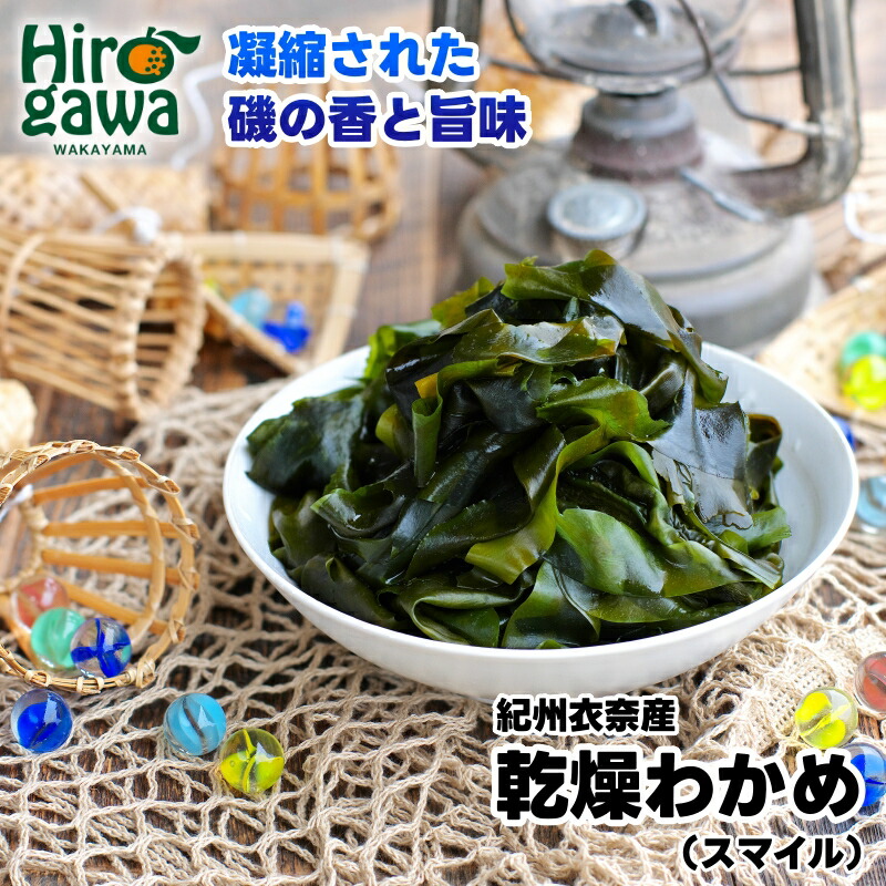 【ふるさと納税】 乾燥 わかめ 紀州衣奈産 2025年産 ※2月下旬より順次発送 / 海藻 天然養殖  //fish