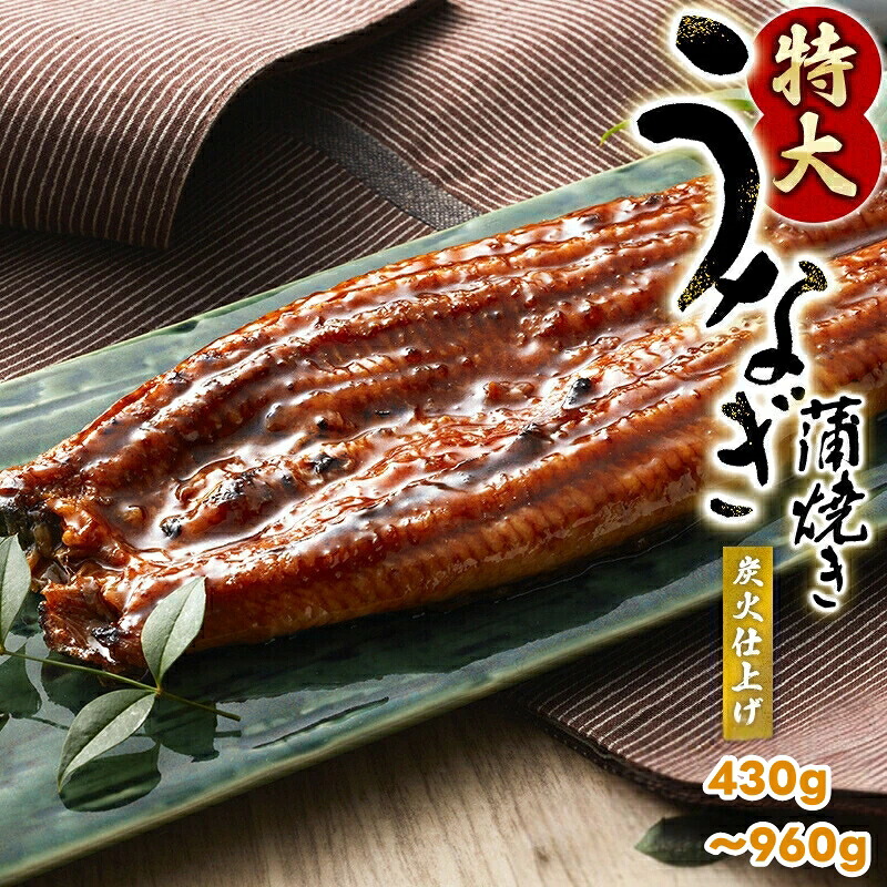 【ふるさと納税】 うなぎ 蒲焼 (タレ・山椒付き) 1尾 約215g~240gのビッグサイズ 【配送月が選べる】 / 特大サイズ セット 鰻 炭火焼き 土用の丑 ※離島配送不可 //fish|和歌山県広川町