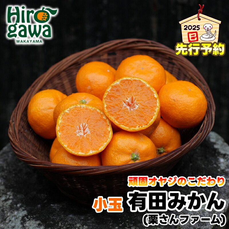 【ふるさと納税】 頑固オヤジの 有田 みかん 小玉 5kg / 温州みかん 有田みかん 甘い 小粒 ちっちゃい 家庭用 訳あり 和歌山 柑橘  ※11月中旬より順次発送 //mandarin