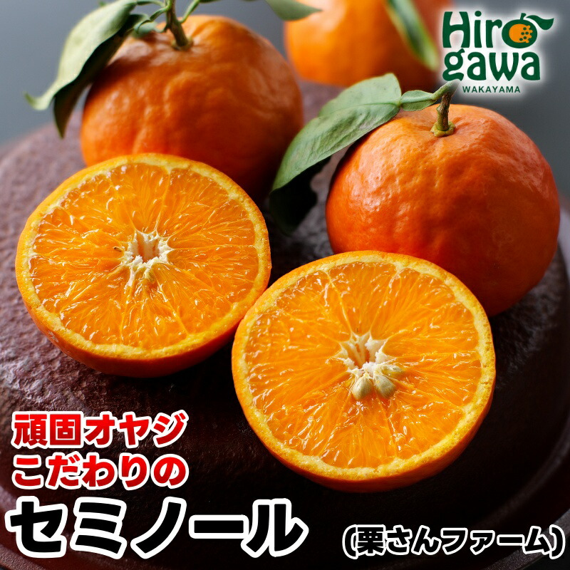 【ふるさと納税】 セミノール オレンジ 5kg 10kg サイズ混合 和歌山 有田産 ※2027年4月中旬～5月中旬頃より順次発送予定 / 晩柑 春 みかん 柑橘 果実 果物 フルーツ ジュース 紀州 有田 //hassaku｜和歌山県広川町