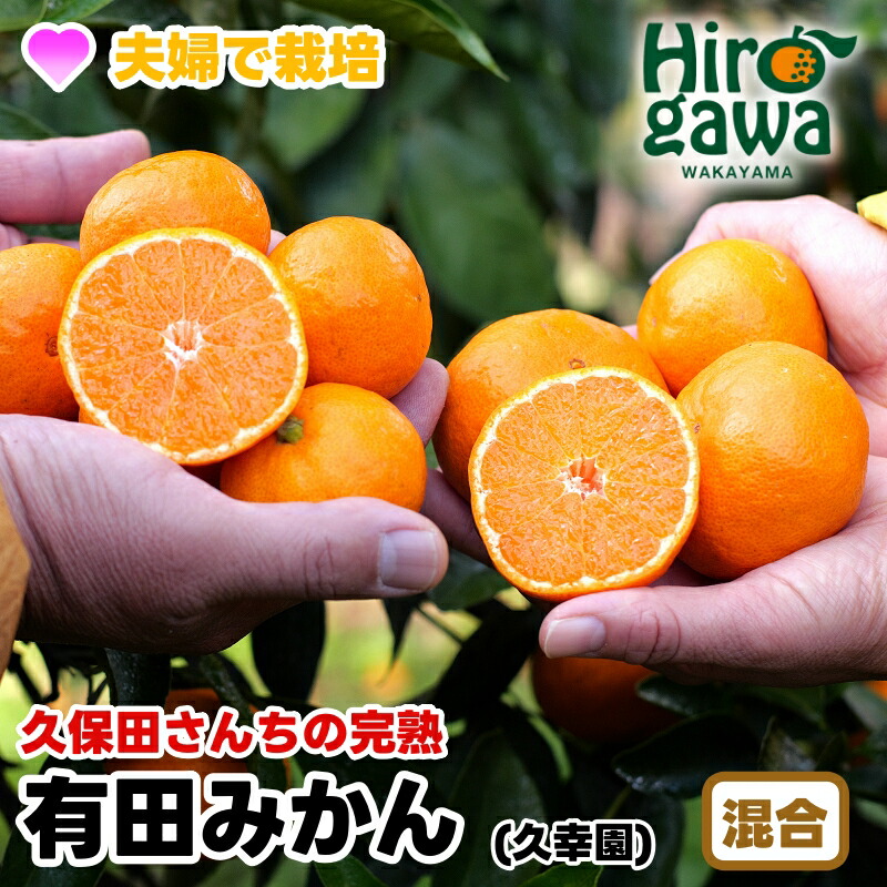【ふるさと納税】 完熟 有田 みかん サイズ混合 久幸園 / 温州みかん 有田みかん 甘い 家庭用 和歌山 柑橘 2kg 5kg 10kg 7000円 ※11月～順次発送 //mandarin