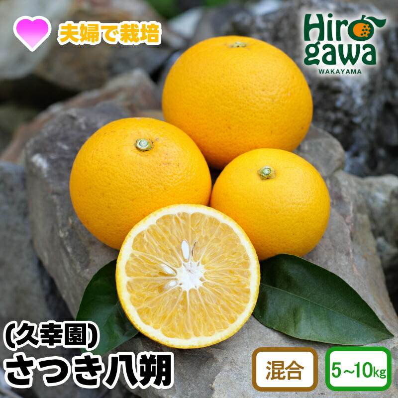 【ふるさと納税】 完熟 さつき 八朔 5kg 7kg 10kg 10000円 13000円 17000円 久幸園 ※4月上旬～5月上旬頃に順次発送予定 / さつき八朔 はっさく 樹上完熟 完熟 木成り 柑橘 果物 くだもの フルーツ みかん 和歌山 有田 広川町  //hassaku