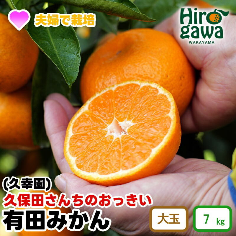 【ふるさと納税】 おっきい 有田 みかん 久幸園 / 温州みかん 有田みかん 甘い 大玉 和歌山 柑橘 7kg 11000円 ※12月上旬～順次発送 //mandarin