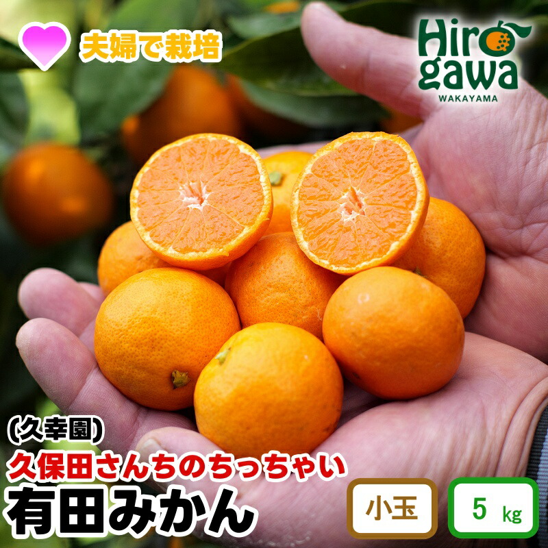 【ふるさと納税】 ちっちゃい 有田 みかん 久幸園 / 温州みかん 有田みかん 甘い 小玉 和歌山 柑橘 5kg ※11月下旬～順次発送 //mandarin