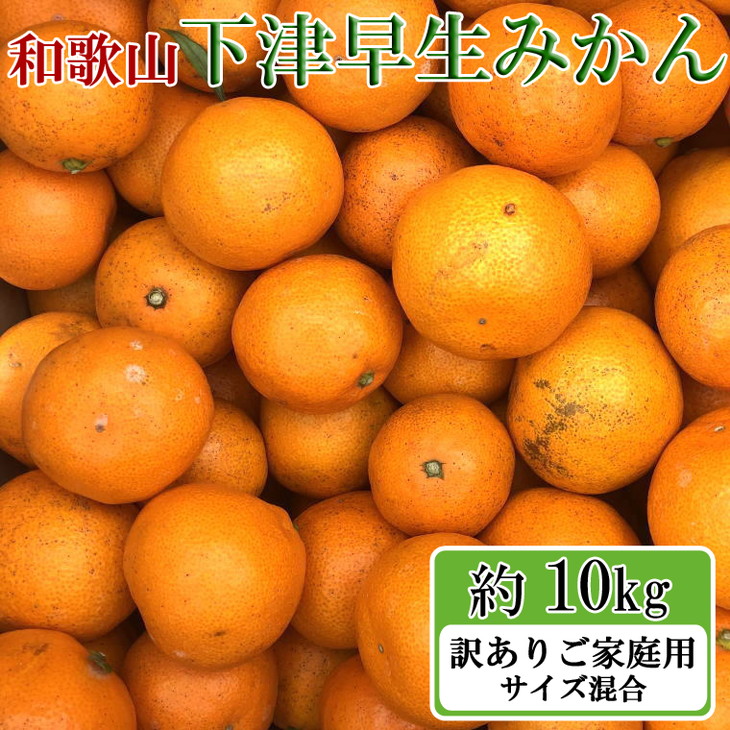 訳ありご家庭用 和歌山有田みかん10kg S〜Lサイズいずれかお届け ※2022年11月中旬〜2023年1月中旬頃に順次発送予定