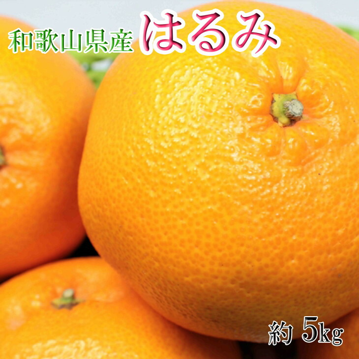 和歌山県産はるみ約5kg 3L〜5Lサイズおまかせ ご家庭用 ミカン みかん