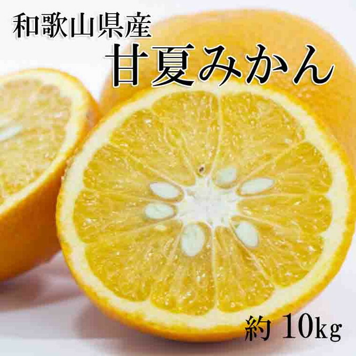 最適な価格 甘夏みかん 約10kg L〜3Lサイズおまかせ みかん ミカン 蜜柑 柑橘 果物 フルーツ 国産 和歌山紀の川市 産※2023年2月中旬〜下旬頃に順次発送予定 fucoa.cl