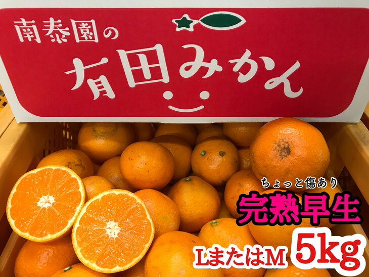 売れ筋】 特秀 5kg※2022年10月中旬〜11月下旬頃に順次発送予定 LまたはMサイズ フルーツ・果物