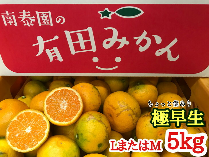 ご予約品 ちょっと傷ありL〜Mサイズ約5kg フルーツ 果物 蜜柑 ミカン オレンジ 有田産 和歌山産 産地直送※着日指定不可  ※2022年10月中旬頃〜11月下旬頃に順次発送予定 fucoa.cl