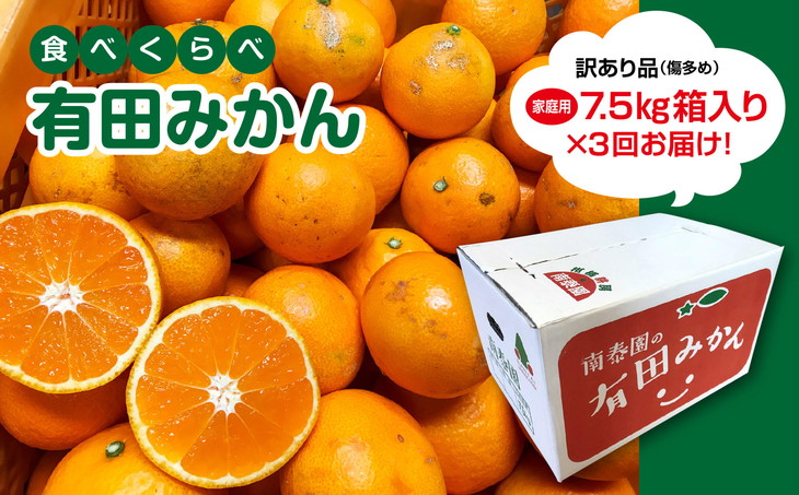 売れ筋】 特秀 5kg※2022年10月中旬〜11月下旬頃に順次発送予定 LまたはMサイズ フルーツ・果物