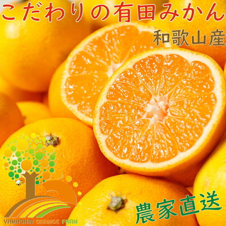 ふるさと納税 こだわりの有田みかん合計14kg 旬のみかん農家直送 有機質肥料100 発送時期指定ok みかん 発送時期指定ok フルーツ 果物 7kg 2箱 ふるさと納税 こだわりの有田みかん合計14kg 旬のみかん農家直送 有機質肥料100 発送時期指定ok みかん 発送時期指定ok フルーツ 果物 7kg 2箱
