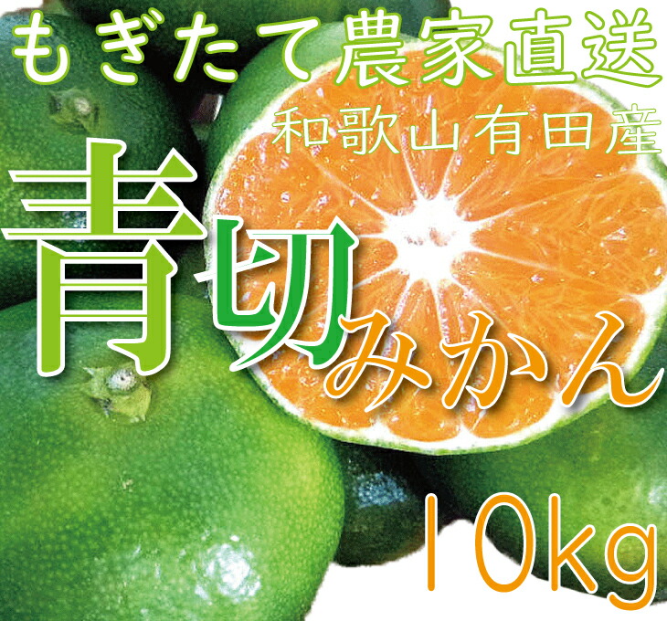 【ふるさと納税】爽やかな味わい青切りみかん10kg【9月中旬より発送】初秋の味覚《有機質肥料100%》 【ふるさと納税】爽やかな味わい青切りみかん10kg【9月中旬より発送】初秋の味覚《有機質肥料100%》