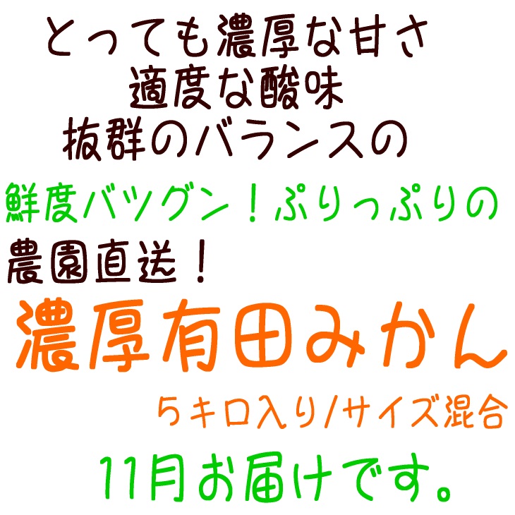 ふるさと納税 11月読みお届け 農園直送 激しい有田みかん 号数綯交じる 5kg Acilemat Com