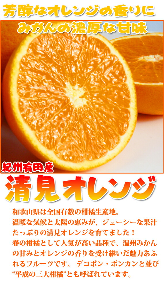 市場 ふるさと納税 7.5kg※2023年4月上旬頃〜4月下旬頃に順次発送予定：和歌山県広川町 ご家庭用訳アリ 紀州有田産清見オレンジ