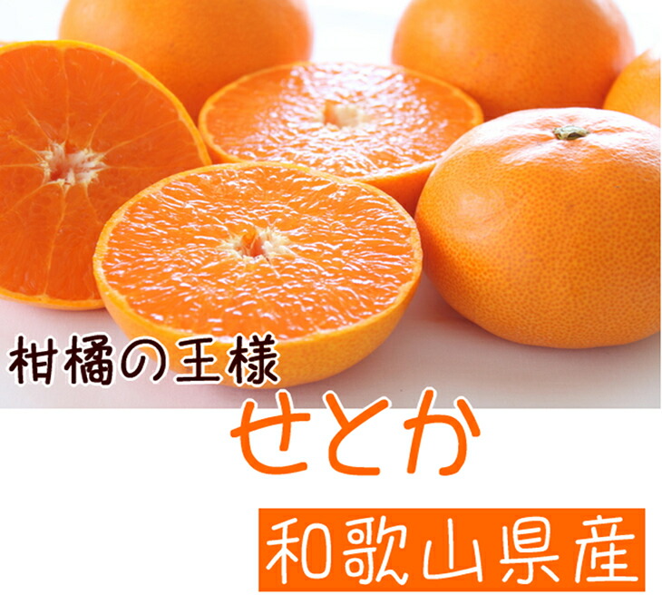 楽天市場】【ふるさと納税】【先行予約】柑橘の王様 和歌山有田の濃厚せとか （ご家庭用）※2023年2月下旬～3月下旬頃に順次発送予定 : 和歌山県広川町