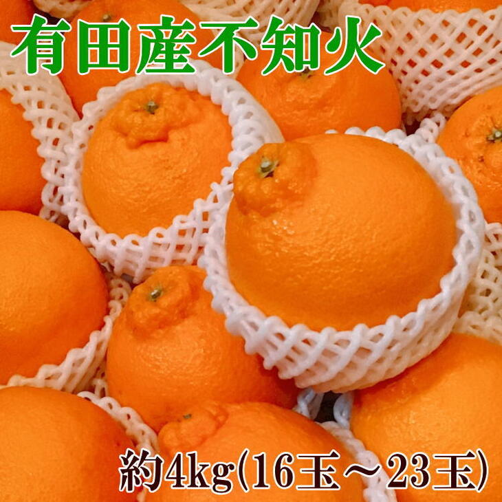 楽天市場】【ふるさと納税】【濃厚】有田の不知火7.5kgご家庭用向け（サイズ混合）※2023年2月中旬～3月下旬頃に順次発送予定 : 和歌山県広川町