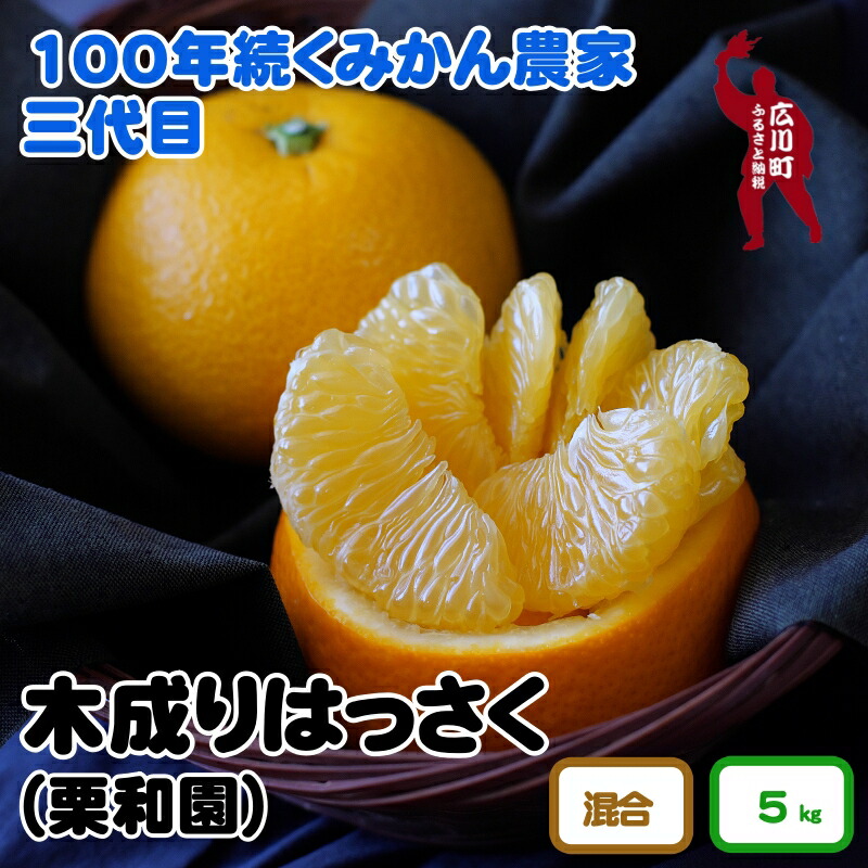 【ふるさと納税】 木成り はっさく 5kg サイズ混合 / 八朔 完熟 甘い 和歌山 柑橘 10000円 ※3月中旬～4月上旬に順次発送 //hassaku