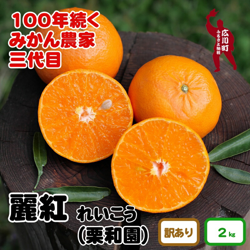 【ふるさと納税】 麗紅 （ れいこう ） 訳あり 2kg / オレンジ 甘い 家庭用 和歌山 有田 柑橘 7000円 ※2月中旬～3月下旬に順次発送 //dekopon