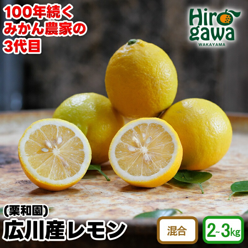 【ふるさと納税】 レモン 国産 / 和歌山 柑橘 2kg 3kg 7000円 ※2月上旬～3月中旬に順次発送 //lemon