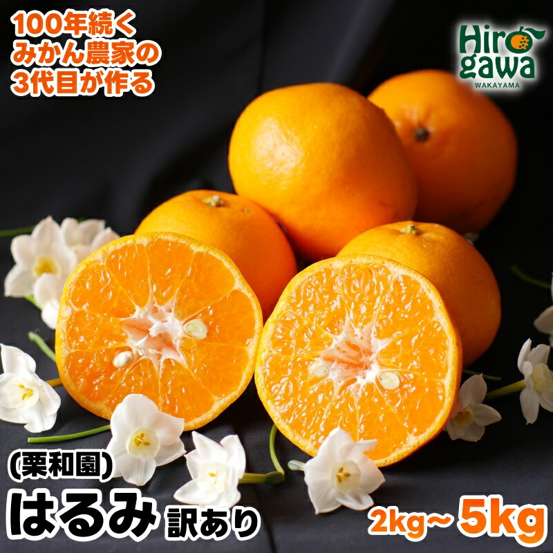 【ふるさと納税】 はるみ 家庭用 / 訳あり 甘い 和歌山 柑橘 2kg 5kg 7000円 ※2月中旬～3月下旬に順次発送 //dekopon
