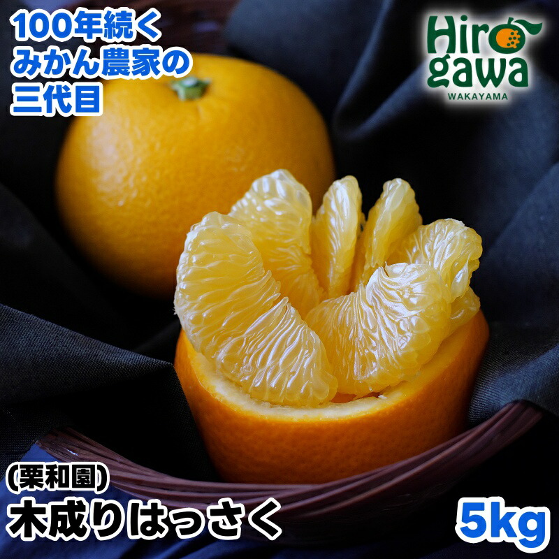 楽天市場】【ふるさと納税】 完熟 紅 八朔 5kg 7kg 10kg 10000円