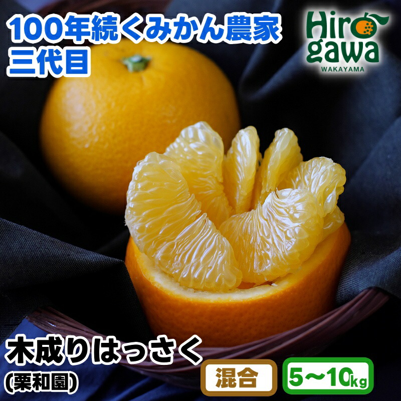 【ふるさと納税】 木成り はっさく 5kg ～ 10kg サイズ混合 / 八朔 完熟 甘い 和歌山 柑橘 10000円 ※2027年3月中旬～4月上旬に順次発送 //hassaku｜和歌山県広川町