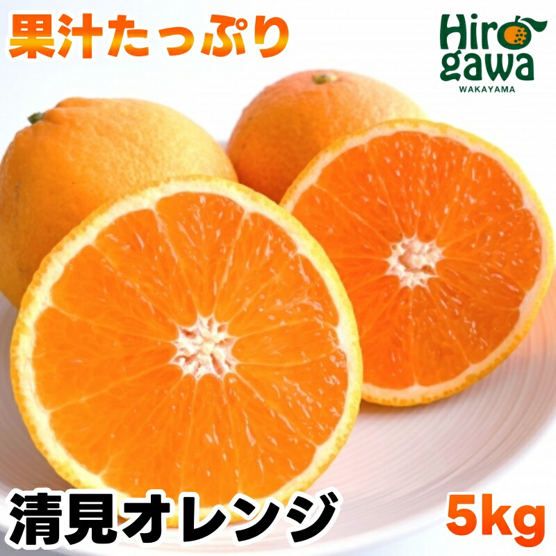 【ふるさと納税】 清見 オレンジ 5kg サイズ混合 果汁たっぷり 有機質肥料100% ※3月上旬から3月下旬に順次発送予定　※北海道・沖縄・離島への配送不可 / みかん 蜜柑 晩柑 きよみ 清見 オレンジ 柑橘 果物 くだもの 果実 フルーツ 国産 和歌山  //dekopon