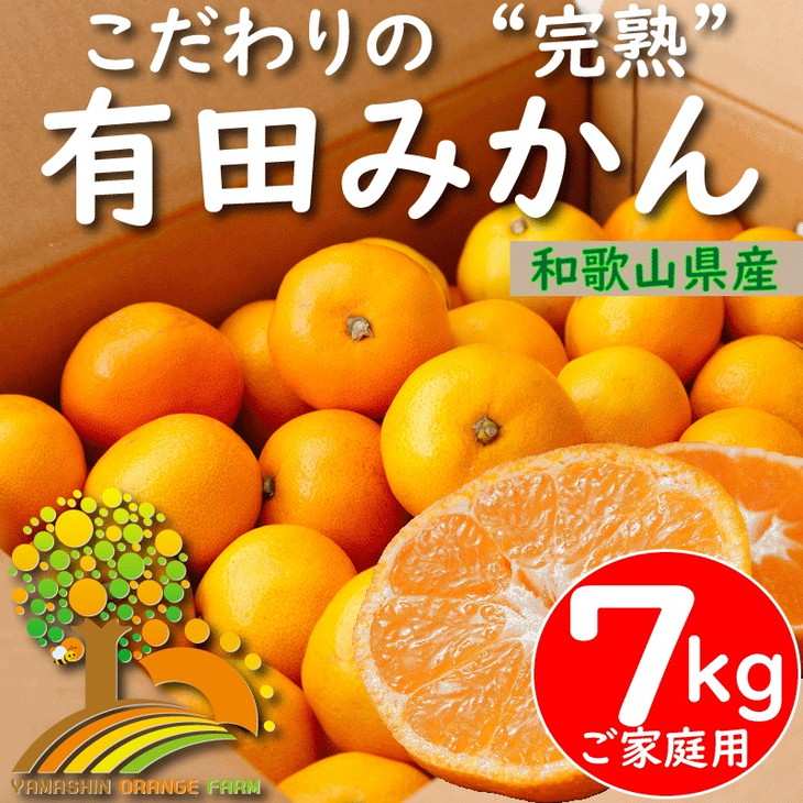 有田産清見オレンジ約10kg（サイズおまかせ・秀品）★2024年2月上旬頃より順次発送 和歌山県 九度山町 和歌山 ふるさと 納税 支援品 返礼品 お取り寄せグルメ 取り寄せ グルメ フルーツ 果物 くだもの 果実 清見オレンジ オレンジ 柑橘 柑橘類