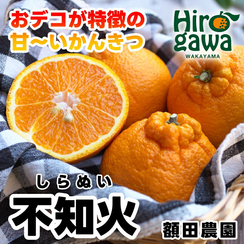 【ふるさと納税】 不知火 ( デコポン )  5kg サイズ混合 ※2月中旬～4月中旬に順次発送予定 ※北海道・沖縄・離島への配送不可 / しらぬい 柑橘類 果物 和歌山 有田 広川  //dekopon