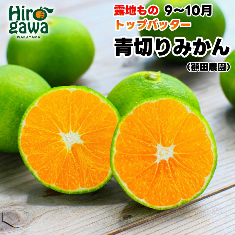 【ふるさと納税】 青切り みかん / 極早生 極早生みかん 温州みかん 甘い 家庭用 和歌山 柑橘 5kg 10kg 5000円 10000円 ※9月下旬～10月順次発送 ※北海道・沖縄・離島への配送不可 //goku