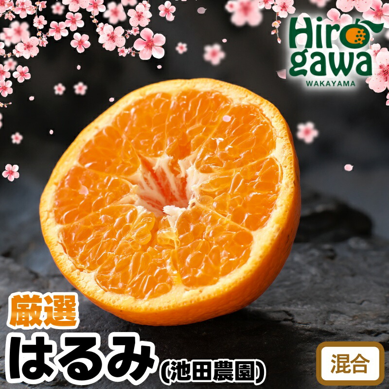 【ふるさと納税】 厳選 はるみ 光センサー選別 / 有田 みかん 蜜柑 オレンジ 果物 フルーツ デコポン の姉妹品種1kg 5kg 10kg 6000円 10000円 20000円 ※2月上旬～3月下旬頃に順次発送予定 ※北海道・沖縄・離島への配送不可 //dekopon