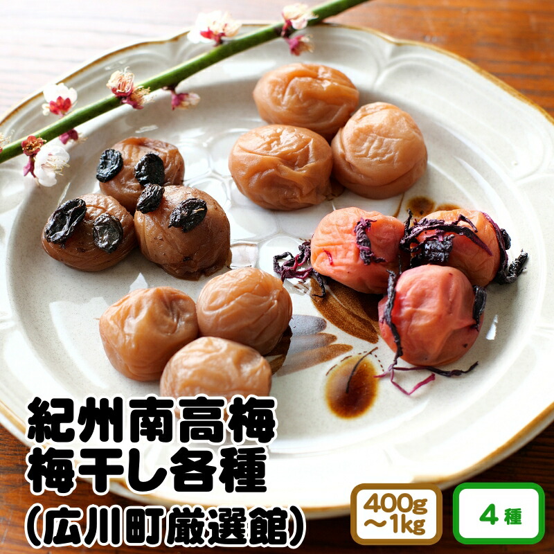 【ふるさと納税】 紀州 南高梅 使用 完熟 梅干し / はちみつ いちご しそ レーズン うめ 梅 南高梅 紀州 梅干し ごはん //plum